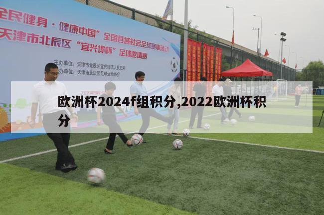 欧洲杯2024f组积分,2022欧洲杯积分