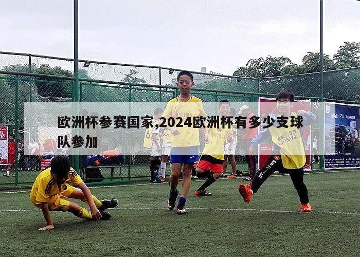 欧洲杯参赛国家,2024欧洲杯有多少支球队参加