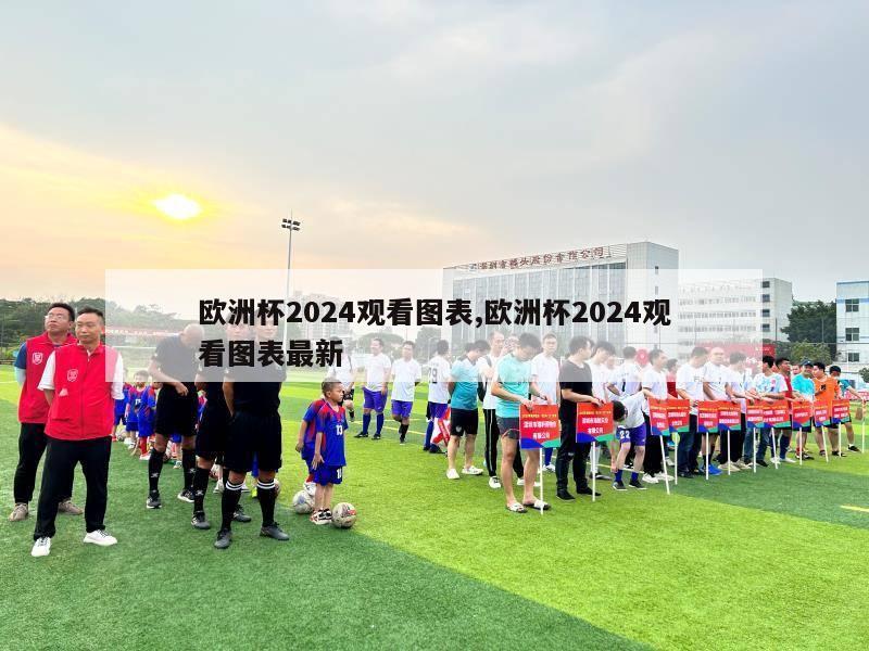 欧洲杯2024观看图表,欧洲杯2024观看图表最新