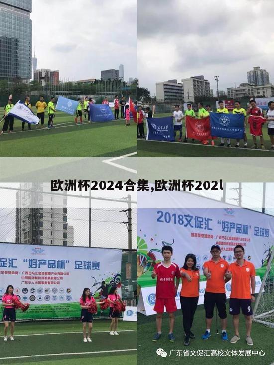 欧洲杯2024合集,欧洲杯202l