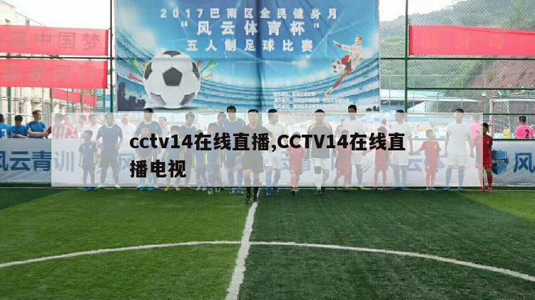 cctv14在线直播,CCTV14在线直播电视